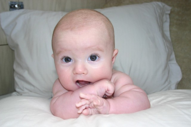 Click for original image 140k 1229x819